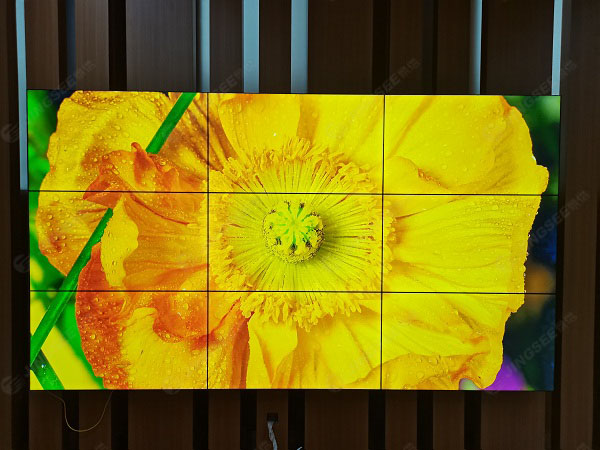 1624527464937237.jpg 案例水印3.jpg